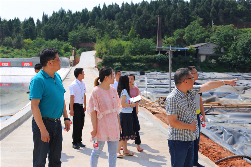 集團(tuán)第一檢查組檢查杰陽排水公司、固廢處置公司安全防汛和環(huán)保達(dá)標(biāo)各項工作3_副本