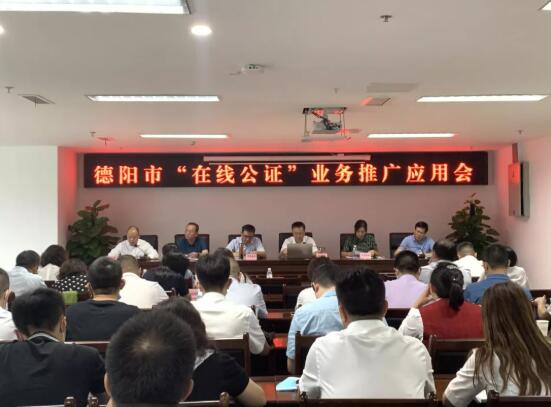 市民通又上新啦！