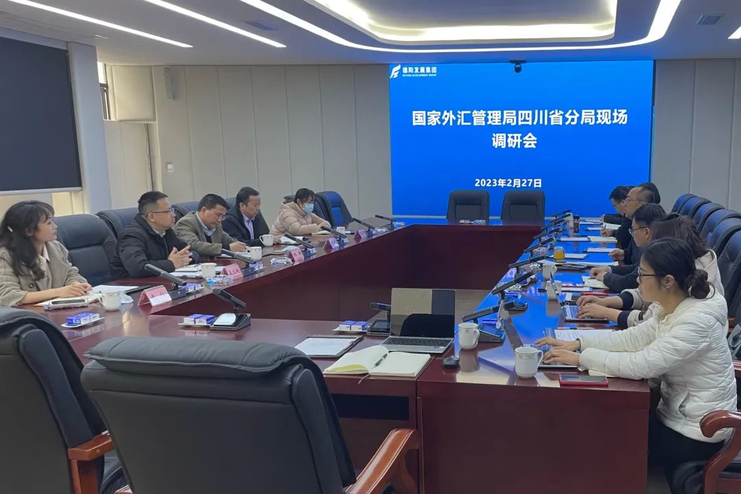 國家外匯管理局四川省分局項目管理處副處長程舉一行到集團現(xiàn)場調研